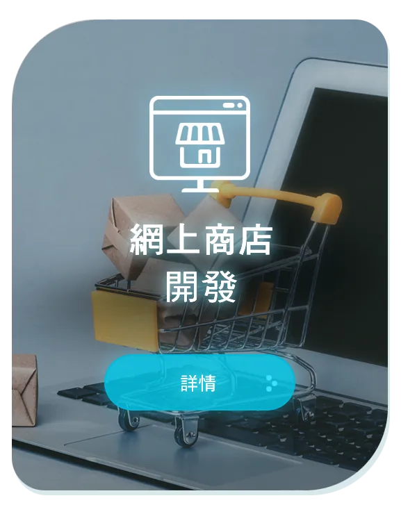 網上商店開發