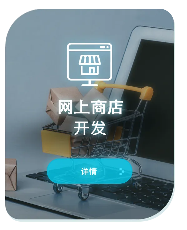 网上商店开发
