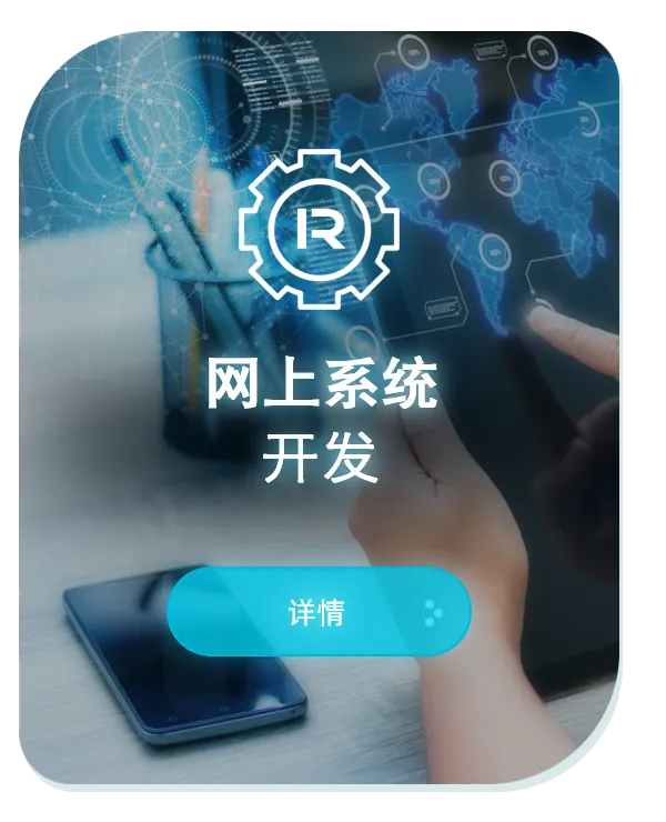 网上系统开发